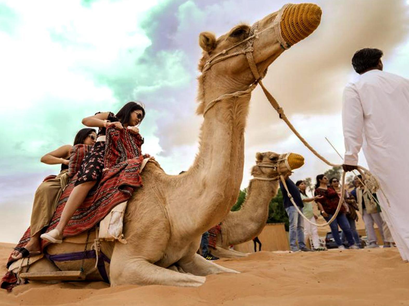 Bedouin Oasis Desert Camp- Ras Al Khaimah Kültér fotó
