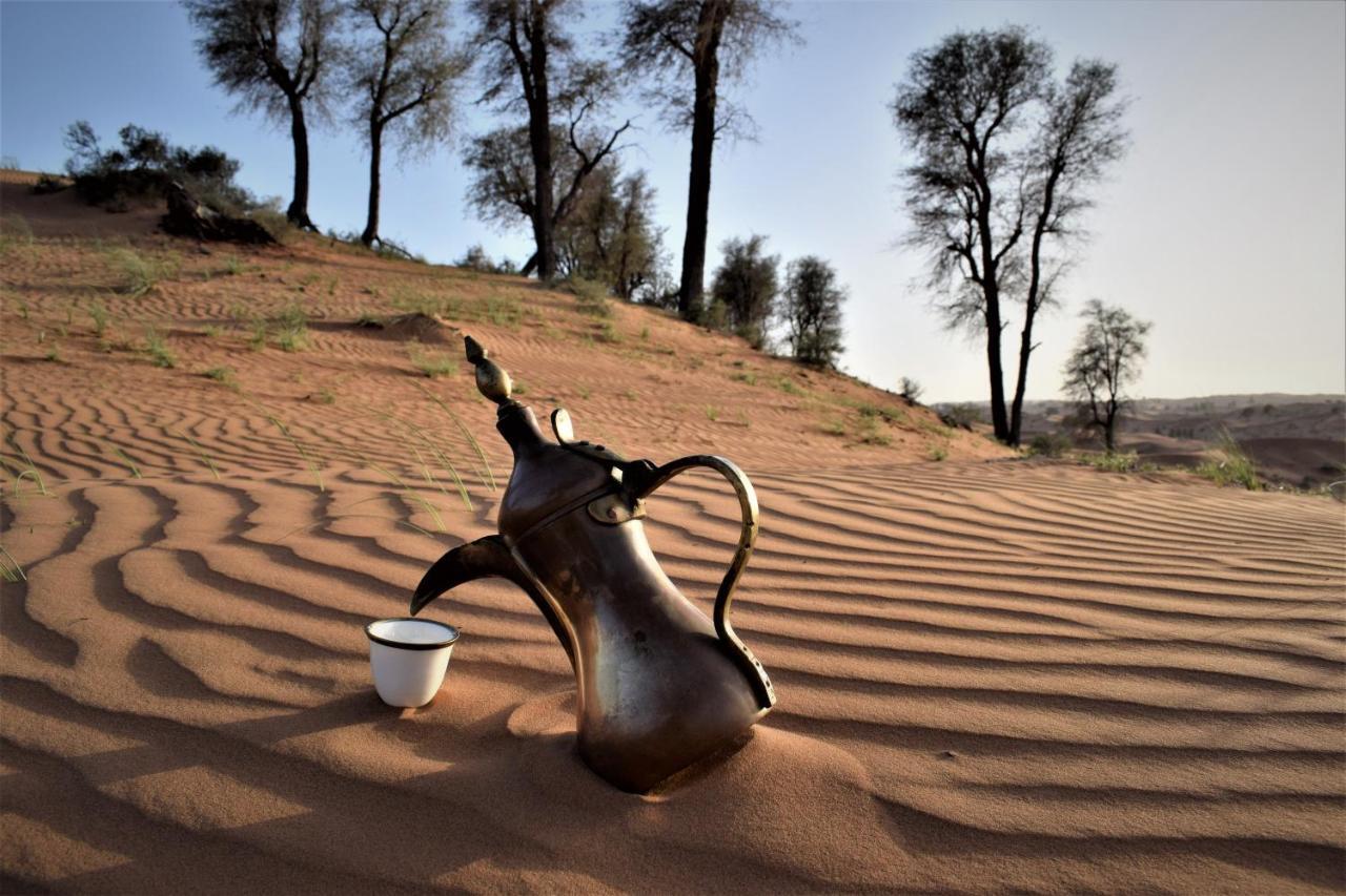 Bedouin Oasis Desert Camp- Ras Al Khaimah Kültér fotó